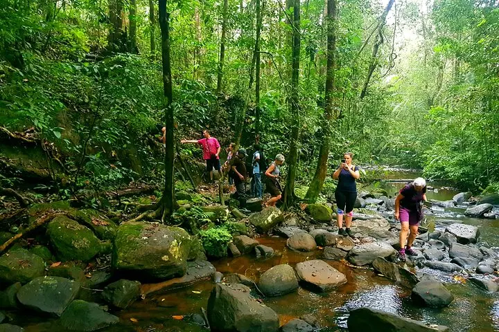 sinharaja rain forest trekking